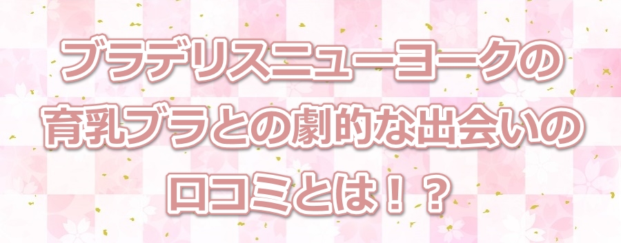 �u���f���X�j���[���[�N�̈���u���Ƃ̌��I�ȏo��̌��R�~�Ƃ́I�H