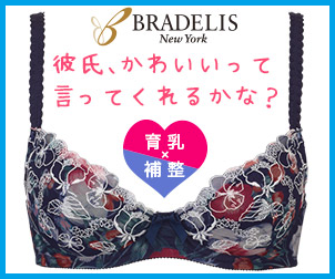 �u���f���X�j���[���[�N�@����u���@���R�~