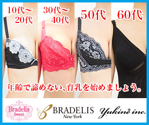 �u���f���X�j���[���[�N�@����u���@���R�~